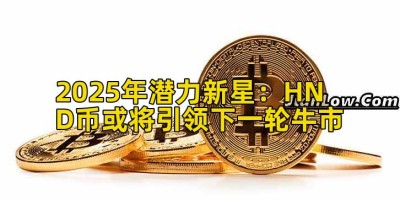2025年潜力新星：HND币或将引领下一轮牛市