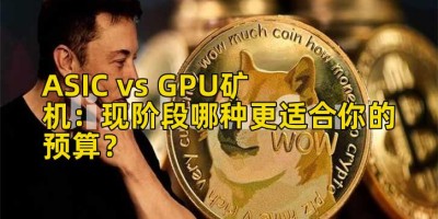 ASIC vs GPU矿机：现阶段哪种更适合你的预算？