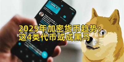 2025年加密货币趋势：这4类代币或成黑马
