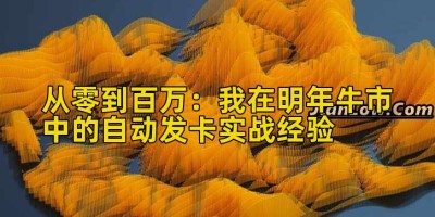 从零到百万：我在明年牛市中的自动发卡实战经验