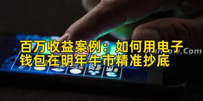 百万收益案例：如何用电子钱包在明年牛市精准抄底