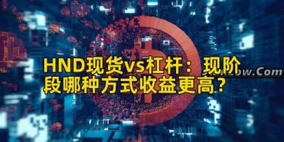 HND现货vs杠杆：现阶段哪种方式收益更高？