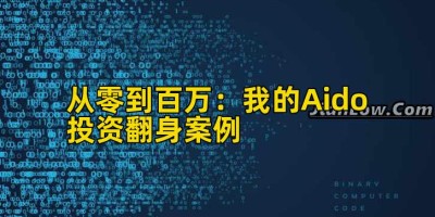 从零到百万：我的Aido投资翻身案例