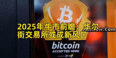 2025年牛市前瞻：华尔街交易所或成新风口
