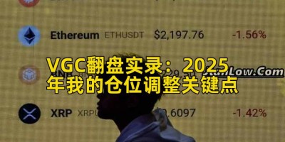 VGC翻盘实录：2025年我的仓位调整关键点