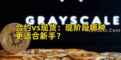 合约vs现货：现阶段哪种更适合新手？