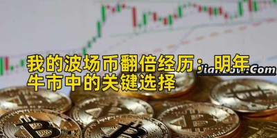 我的波场币翻倍经历：明年牛市中的关键选择
