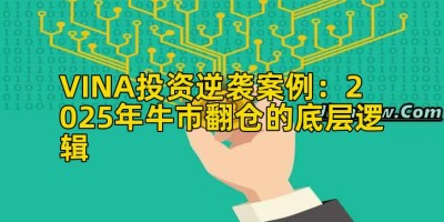 VINA投资逆袭案例：2025年牛市翻仓的底层逻辑
