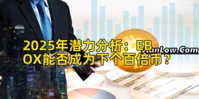 2025年潜力分析：EBOX能否成为下个百倍币？