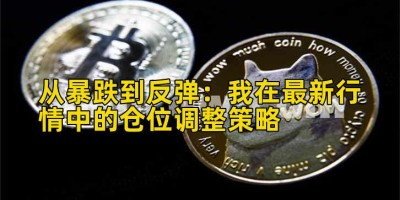 从暴跌到反弹：我在最新行情中的仓位调整策略