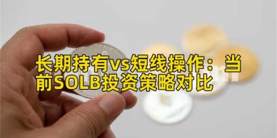 长期持有vs短线操作：当前SOLB投资策略对比