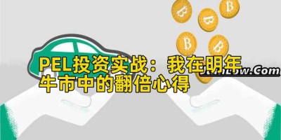 PEL投资实战：我在明年牛市中的翻倍心得