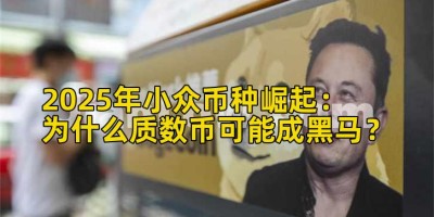2025年小众币种崛起：为什么质数币可能成黑马？