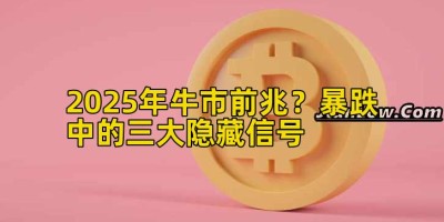 2025年牛市前兆？暴跌中的三大隐藏信号