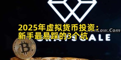 2025年虚拟货币投资：新手最易踩的3个坑