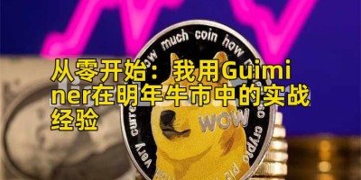 从零开始：我用Guiminer在明年牛市中的实战经验