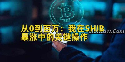 从0到百万：我在SHIB暴涨中的关键操作