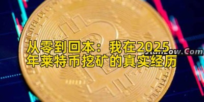 从零到回本：我在2025年莱特币挖矿的真实经历