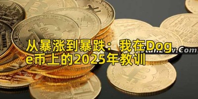 从暴涨到暴跌：我在Doge币上的2025年教训