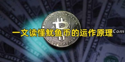 一文读懂鱿鱼币的运作原理