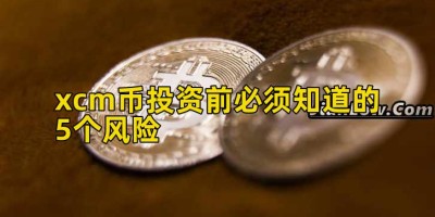xcm币投资前必须知道的5个风险