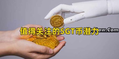 值得关注的SGT币潜力