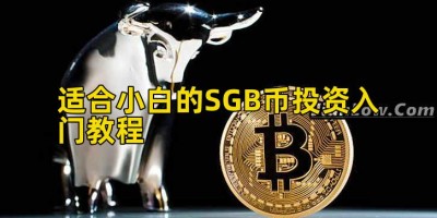 适合小白的SGB币投资入门教程