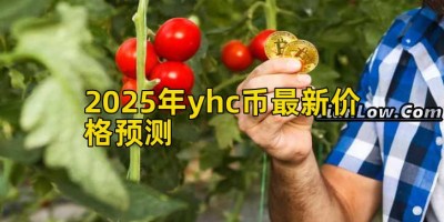 2025年yhc币最新价格预测
