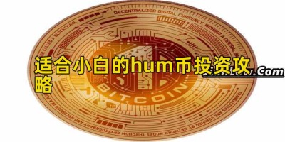 适合小白的hum币投资攻略
