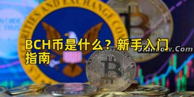 BCH币是什么？新手入门指南