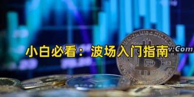 小白必看：波场入门指南