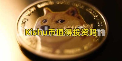 Kishu币值得投资吗