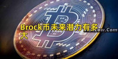 Brock币未来潜力有多大