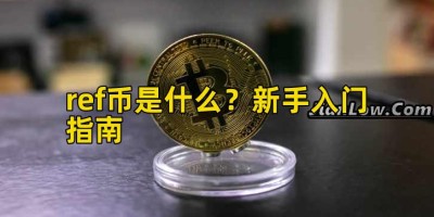 ref币是什么？新手入门指南