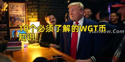 10个必须了解的WGT币知识