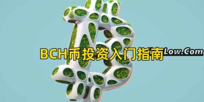 BCH币投资入门指南