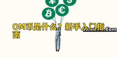OM币是什么？新手入门指南