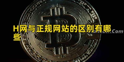 H网与正规网站的区别有哪些
