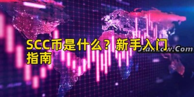 SCC币是什么？新手入门指南