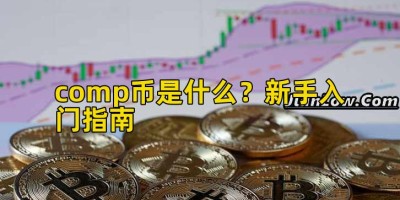 comp币是什么？新手入门指南