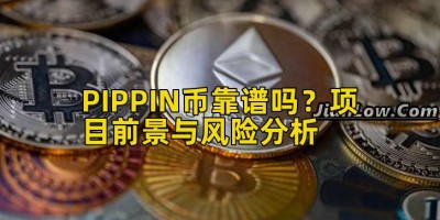 PIPPIN币靠谱吗？项目前景与风险分析