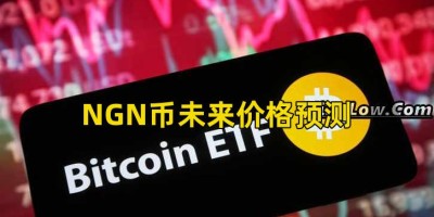NGN币未来价格预测