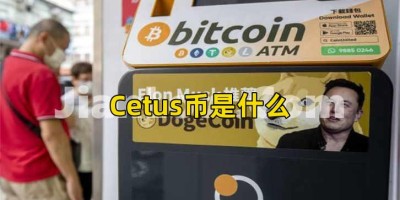 Cetus币是什么