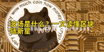 波场是什么？一文读懂区块链新星