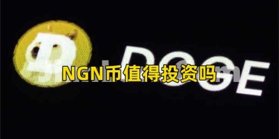NGN币值得投资吗
