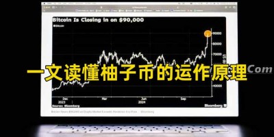 一文读懂柚子币的运作原理