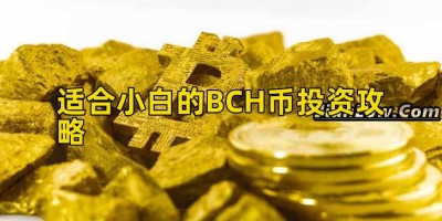 适合小白的BCH币投资攻略