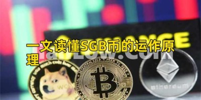 一文读懂SGB币的运作原理