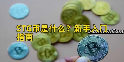 STG币是什么？新手入门指南