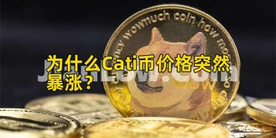 为什么Cati币价格突然暴涨？